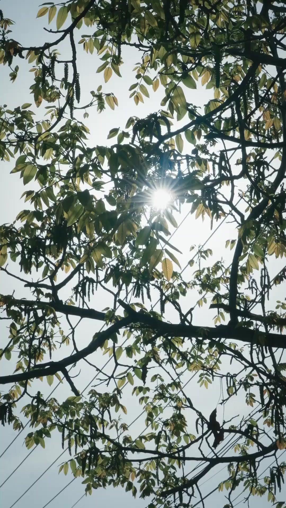 (Doblado) La más guapa no me suelta