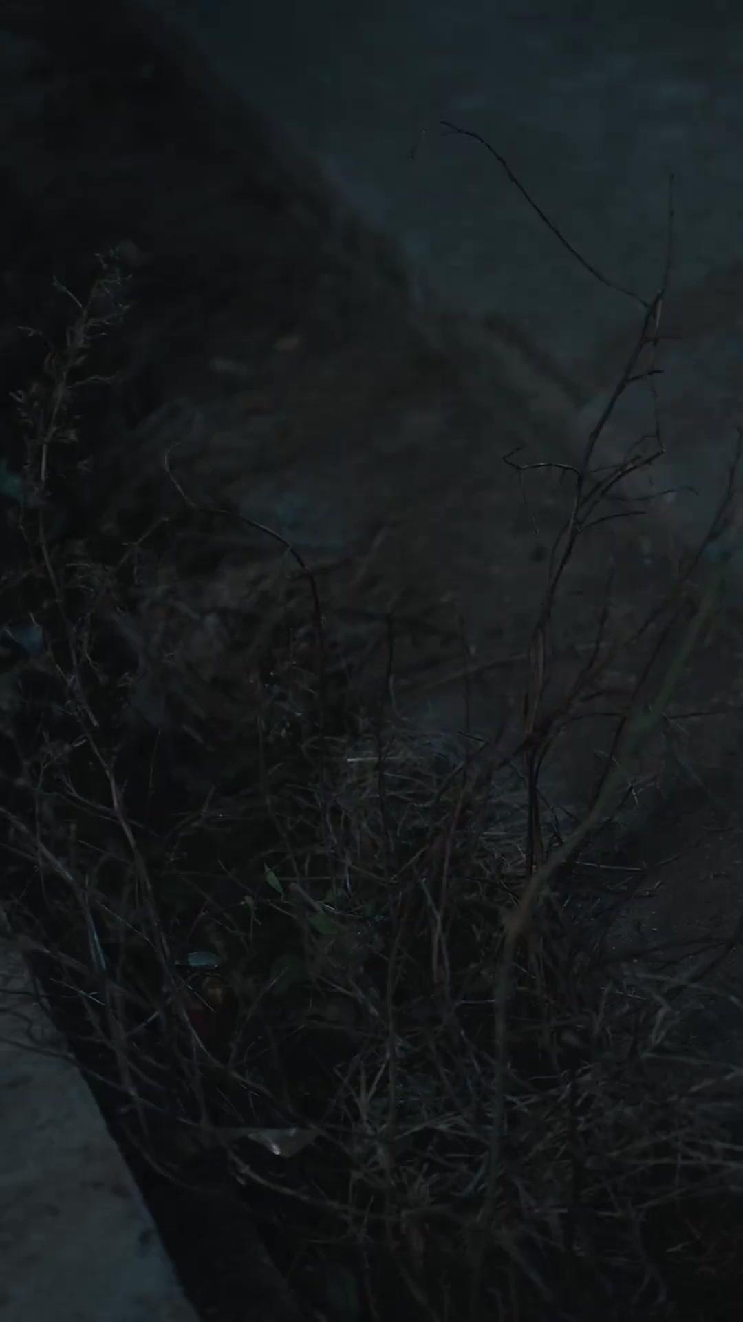 Sweet DIL? True Evil Bitch!