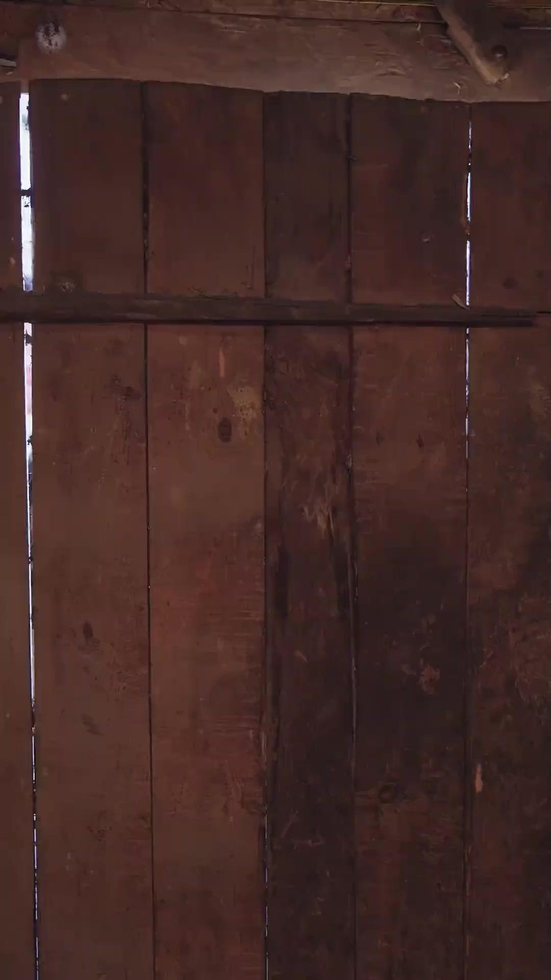 Rivales bajo el mismo techo