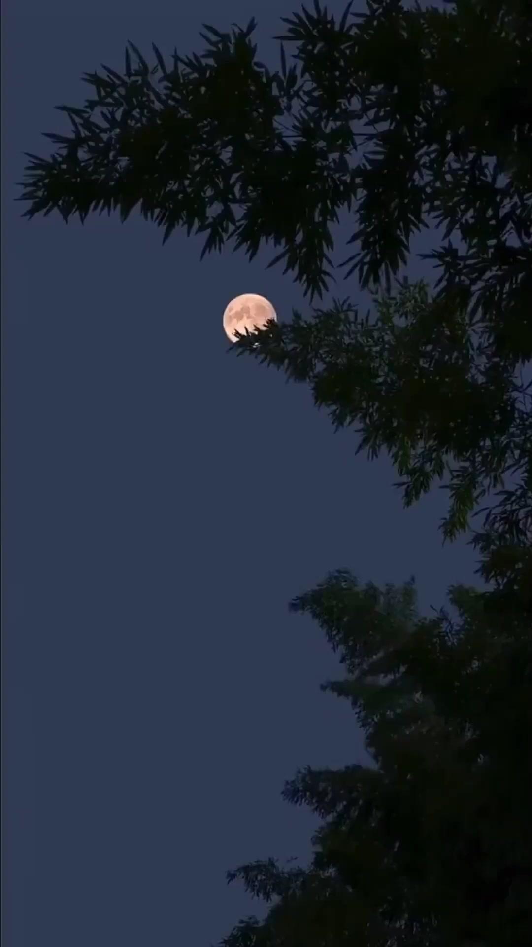 恋する前に別れましょう