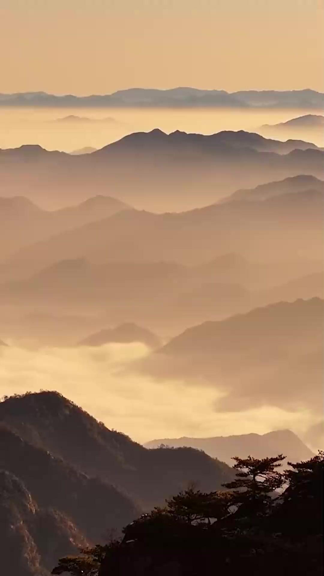 Pugni di Ferro - Chiara Romano Invincibile