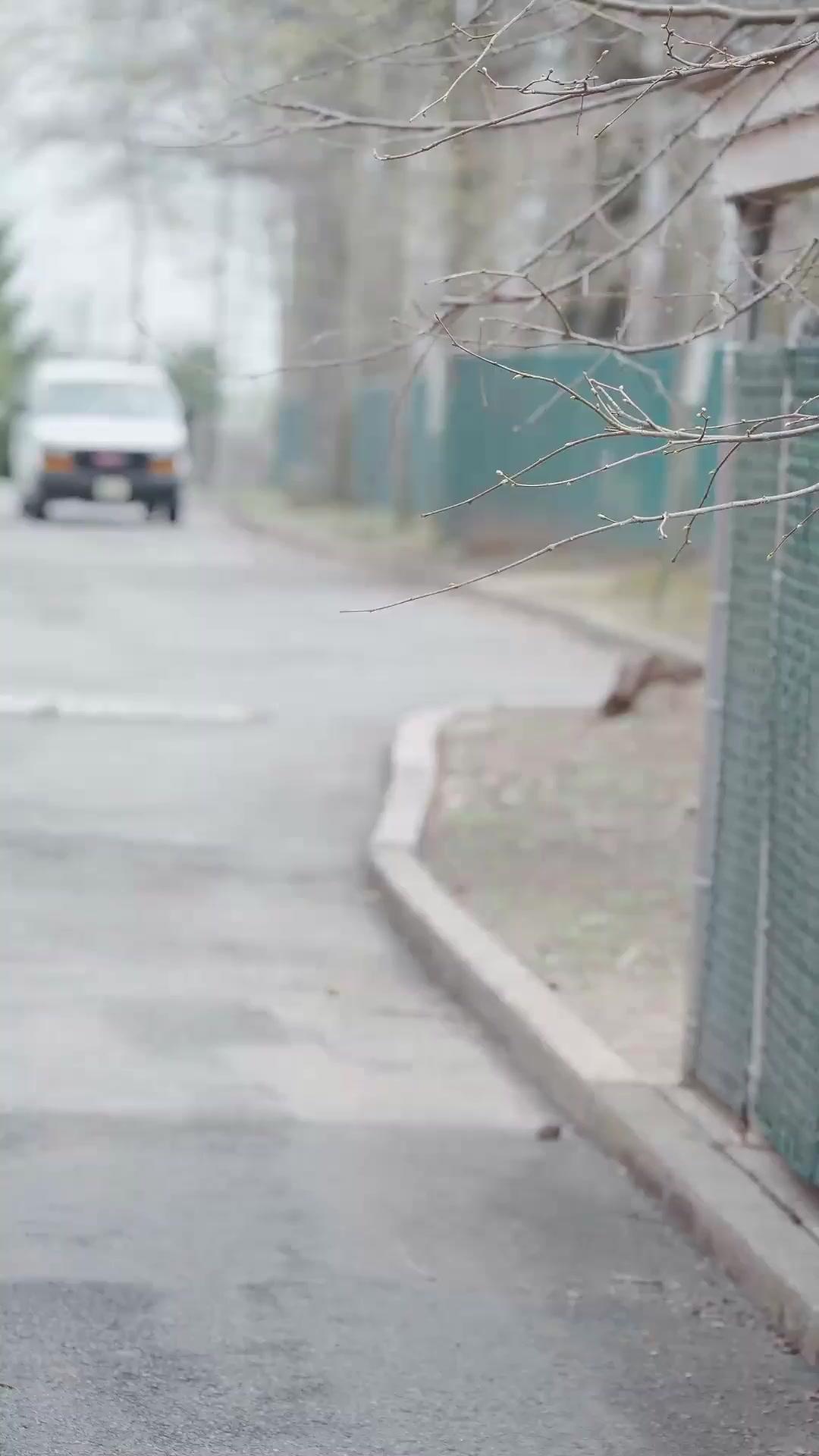 (Dublagem) De Criada a Dona