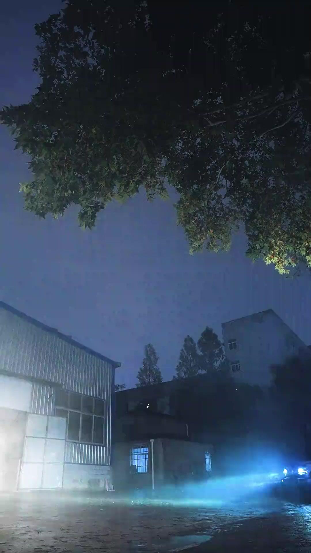 그녀의 실력 상상 이상