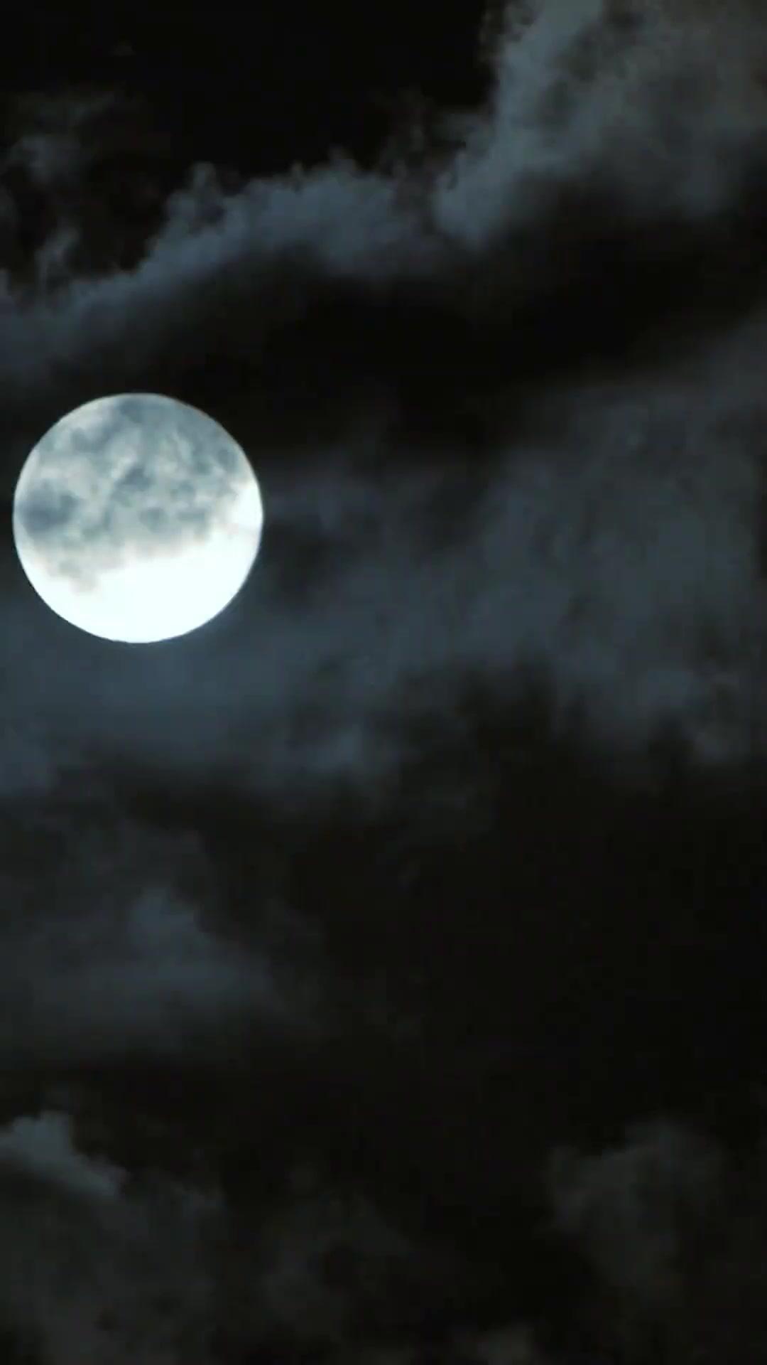 Mi despiadado rey alfa