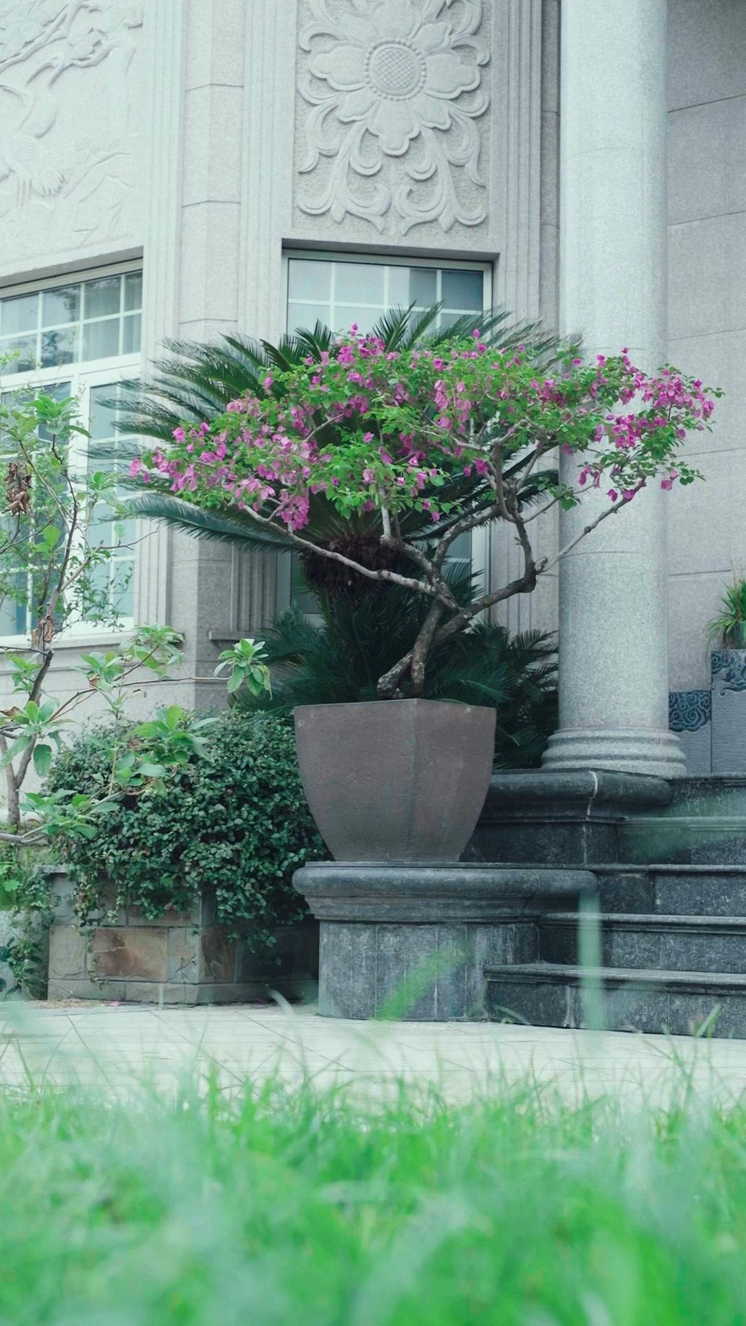 Kembali dari Kematian