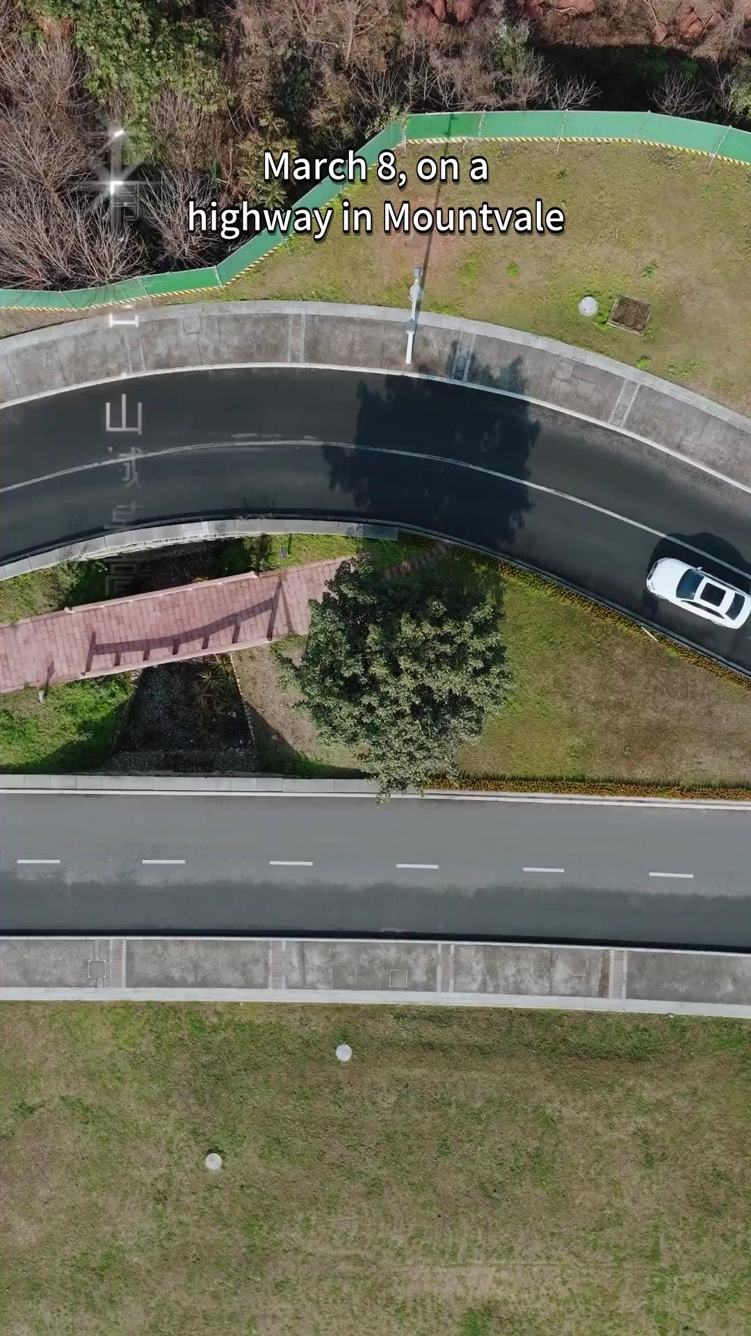 Siren, Heed the Call and Rise!