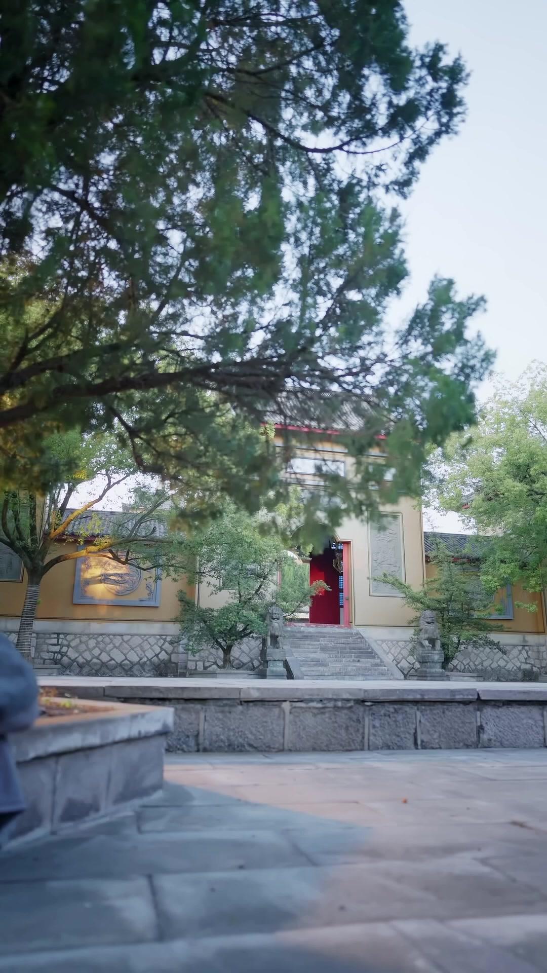 My Babies! Protect Mommy Now!