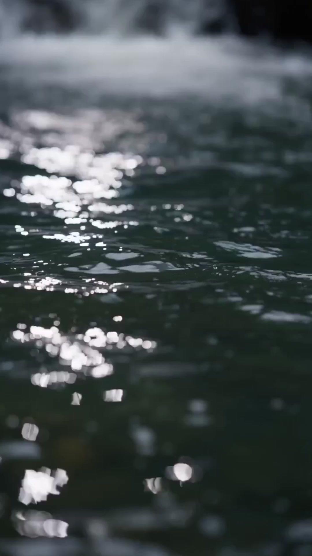 I Saved Your Kingdom, Honey