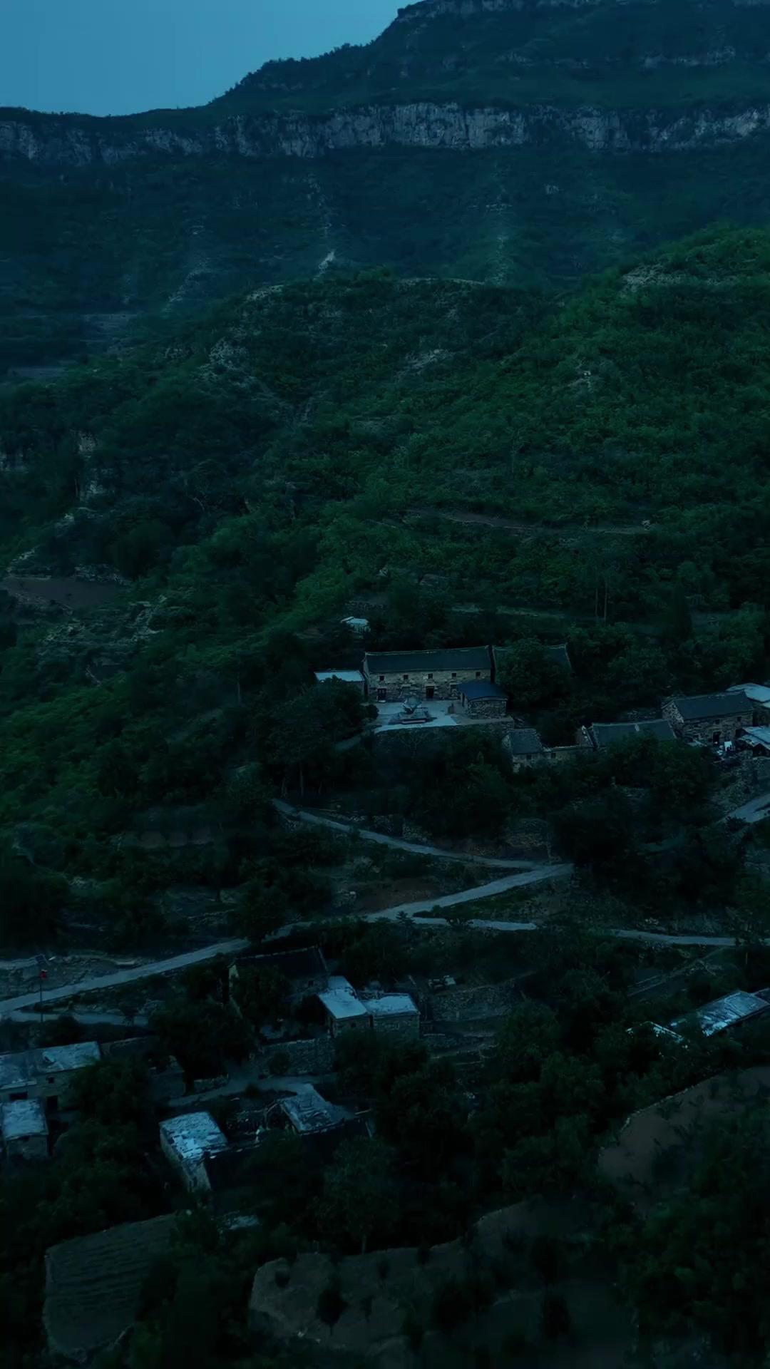 Vahşi Ayı Efsanesi