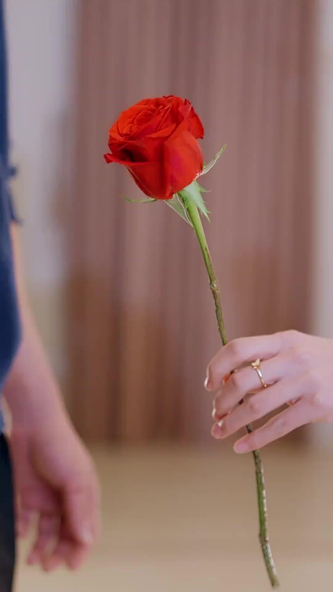 (吹き替え) 秘密を抱えたふたりの夫婦ゲーム