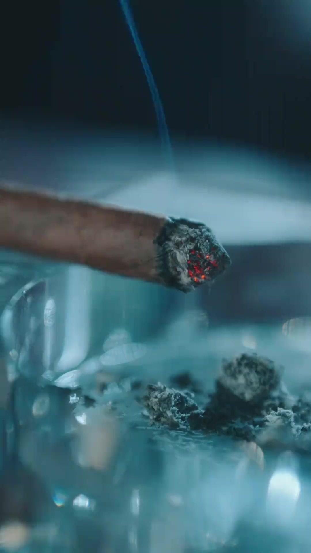 まさかの極道令嬢！？～殺し屋なのに家族に溺愛される件～