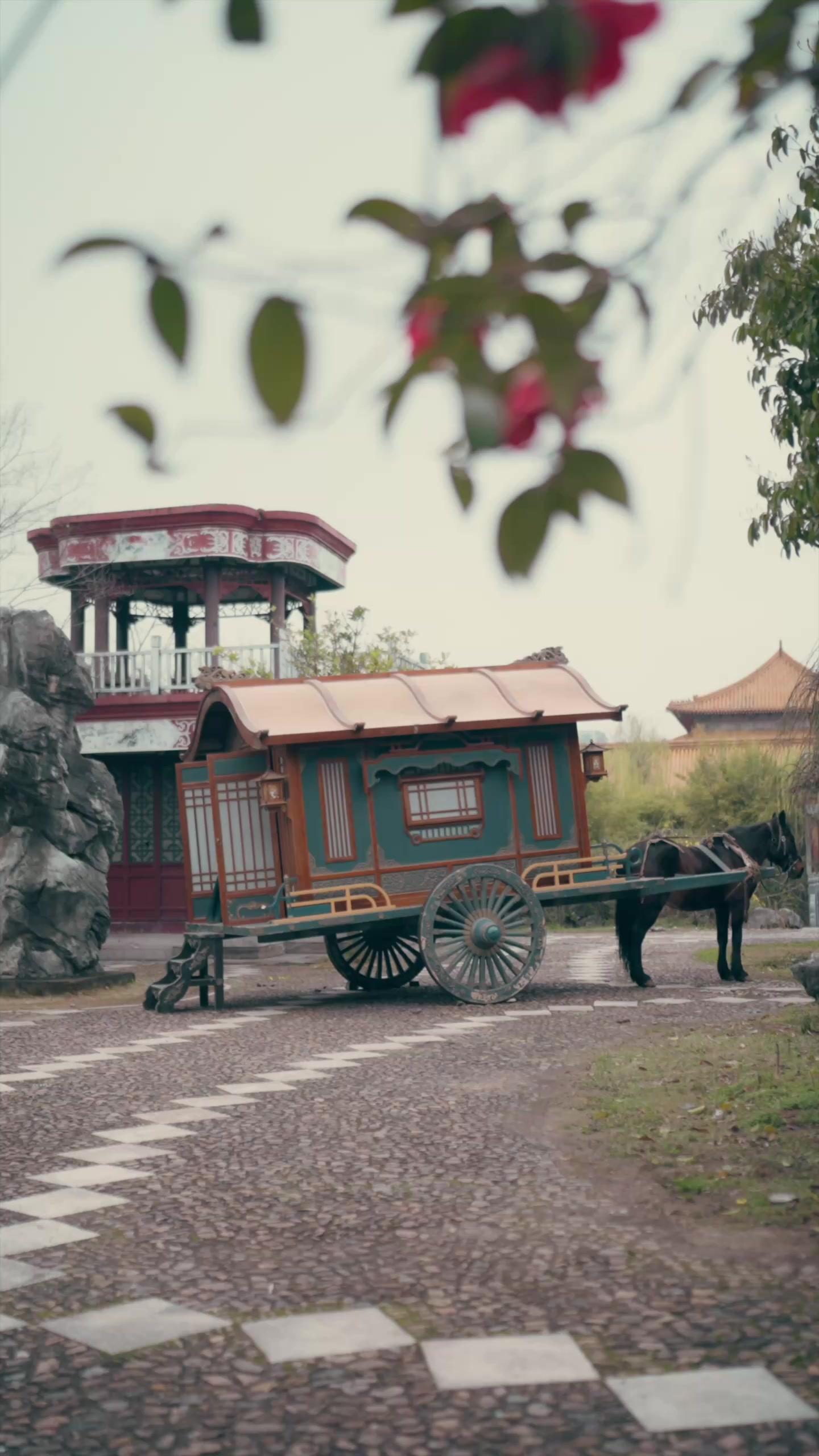 Ayah Pemimpin Bandit Ternyata Raja