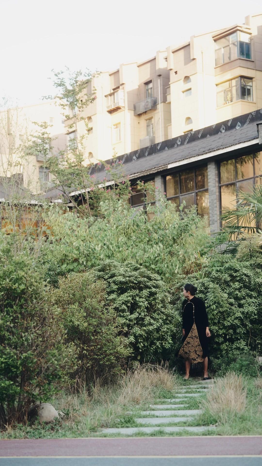 بين الشفقة والحب