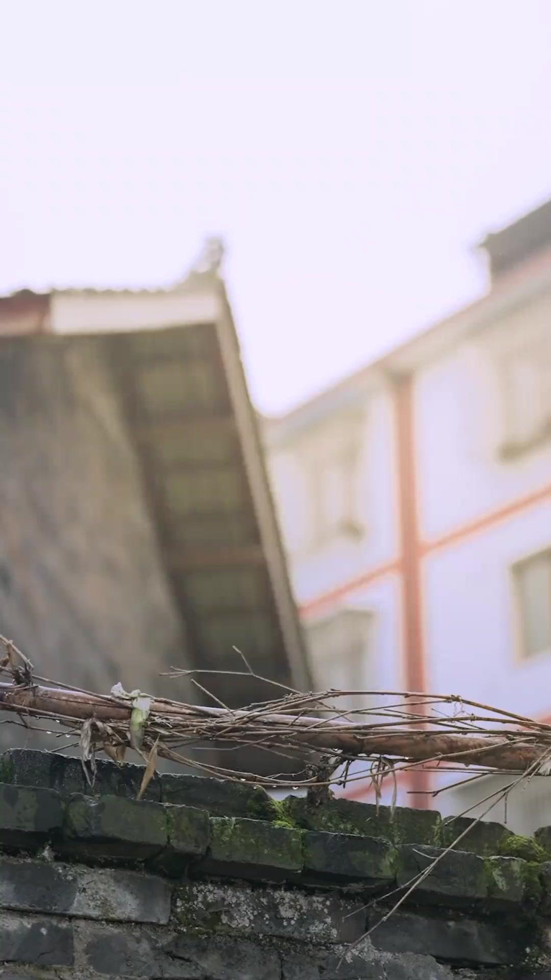 Neto da Sorte, Casa Feliz