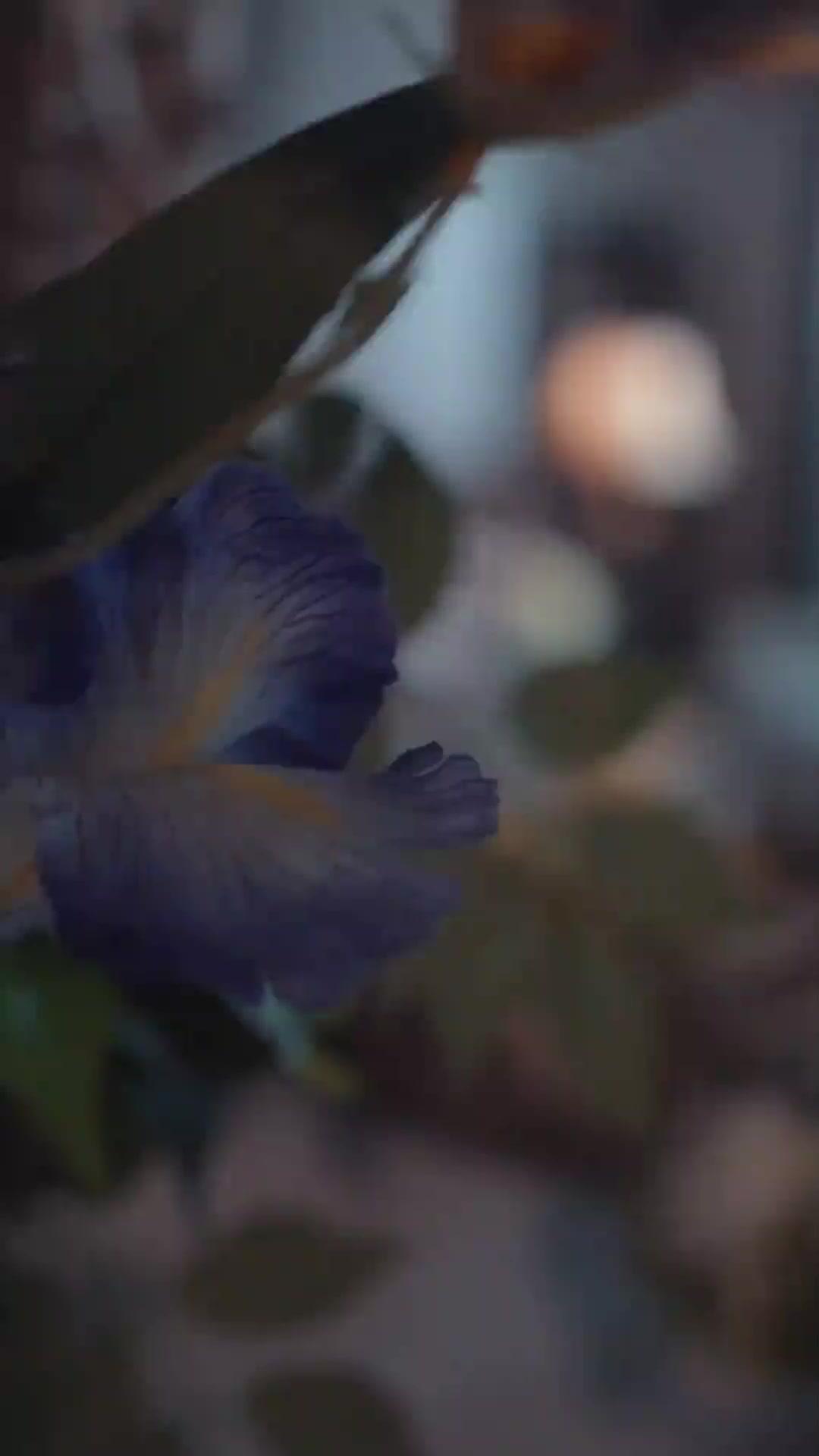 POUR ELLE-MÊME, ENFIN