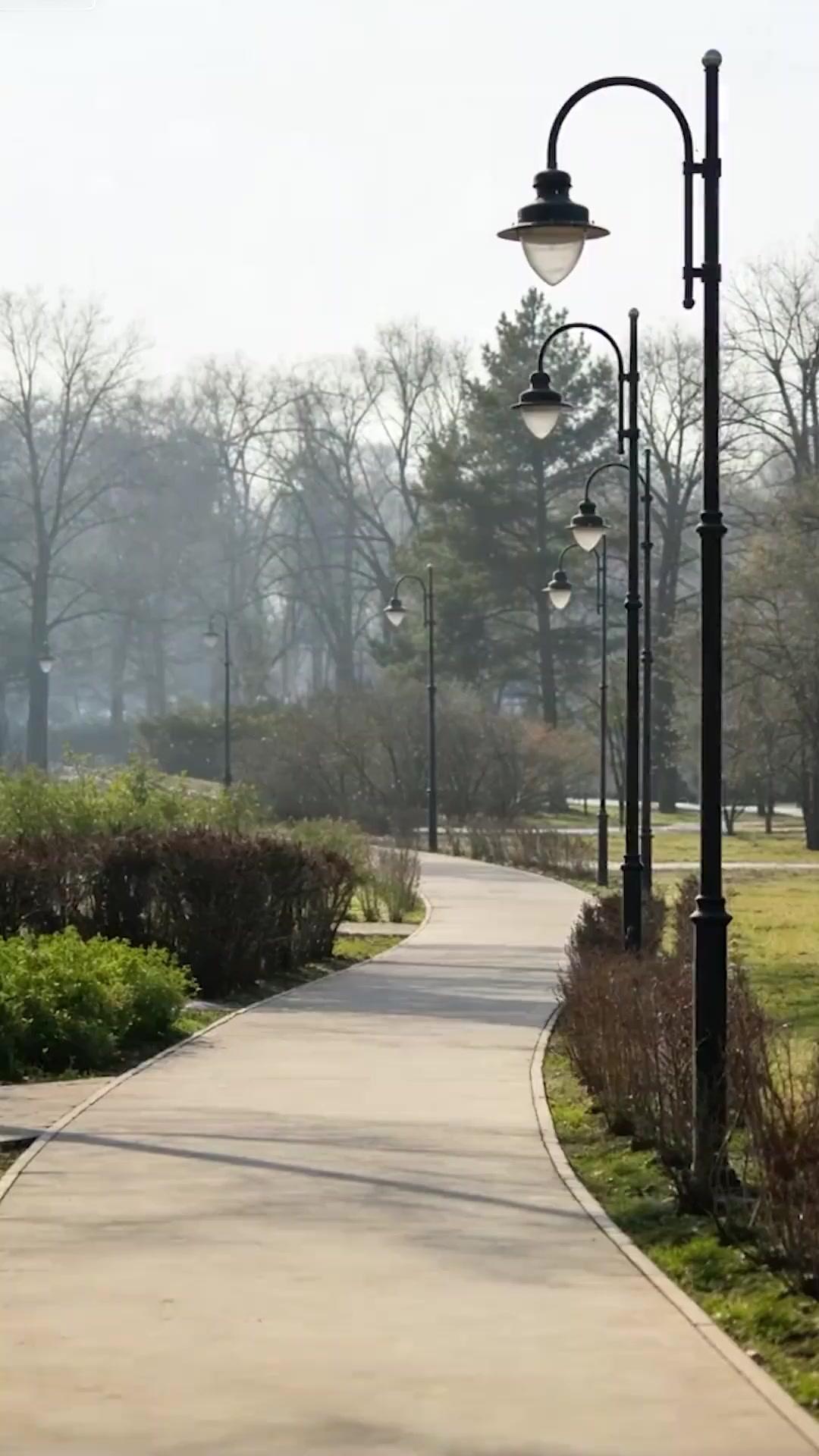 Planlanmış Çöküş