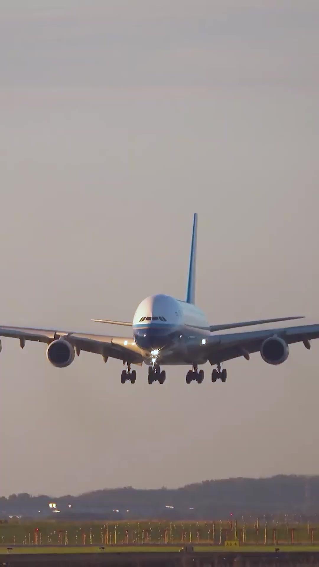 覺醒吧！我的戀愛腦女兒