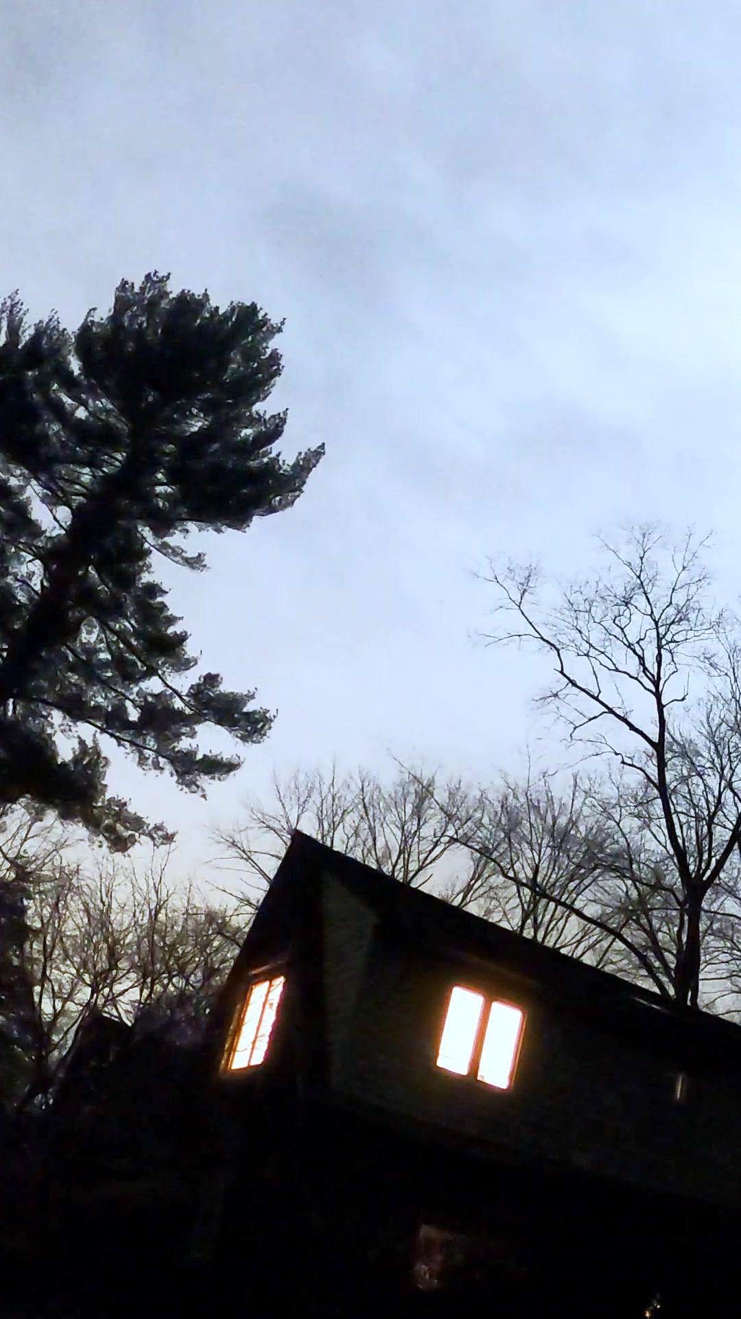 The officer fell for me