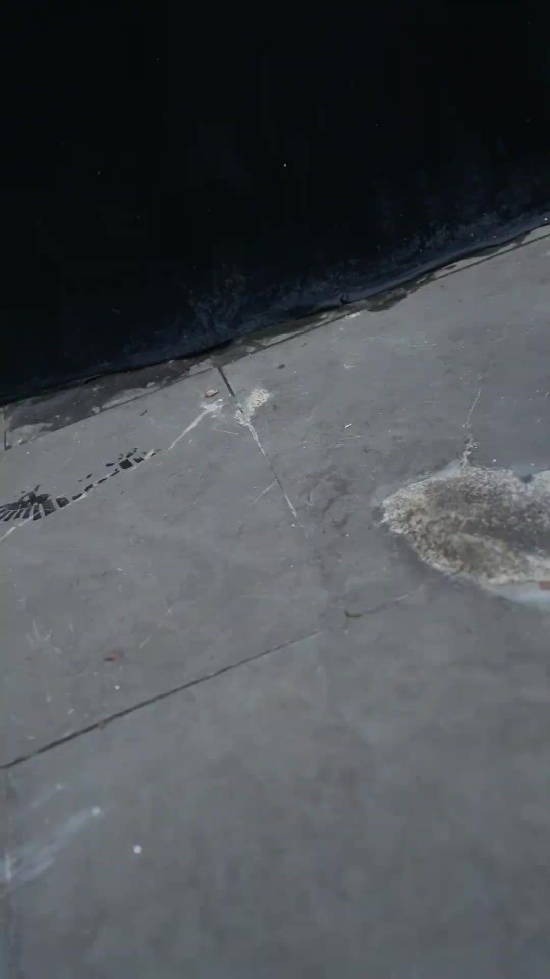 (Dublajlı) Babamı Küçümseme