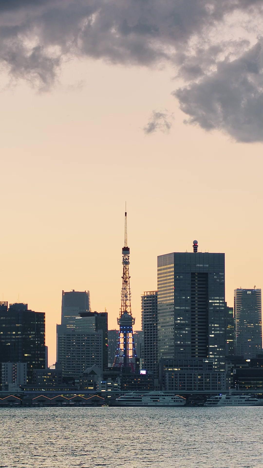 Sakura Beneath the Shrine