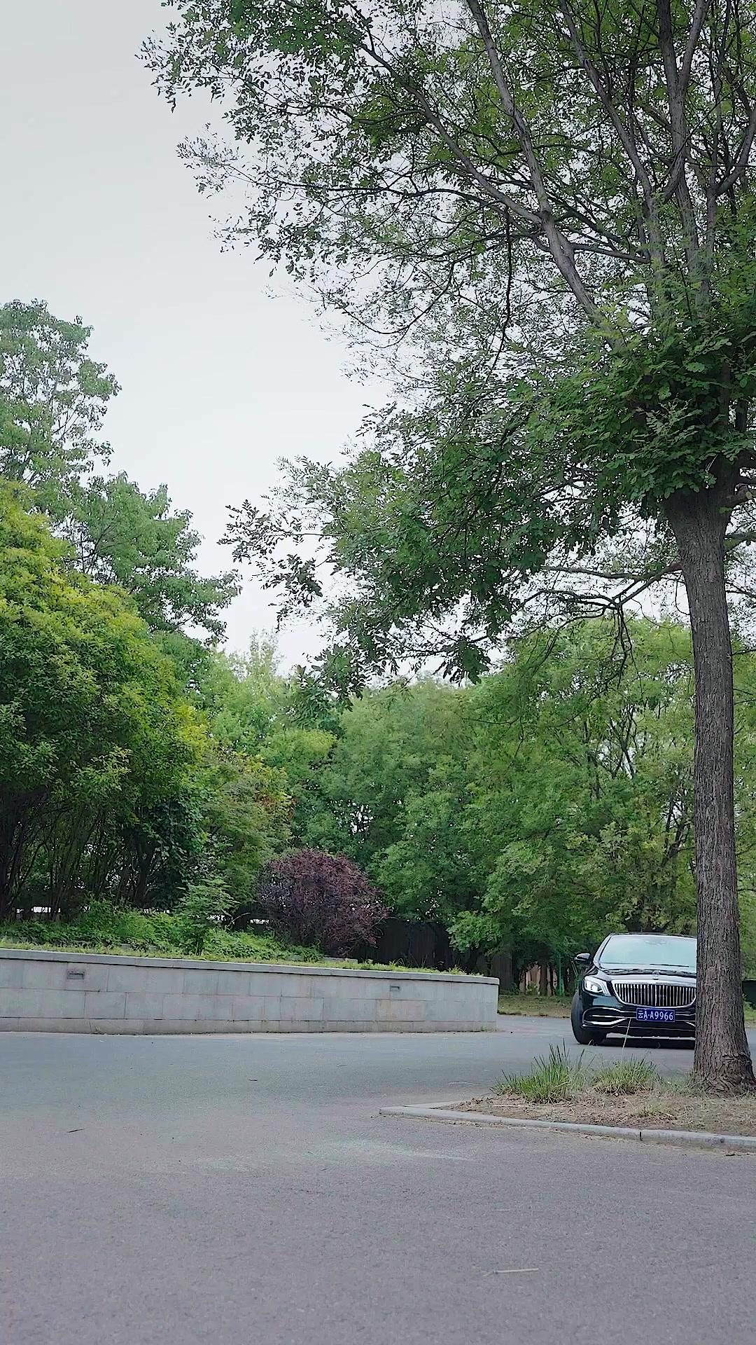 Mi amor, mi arma letal