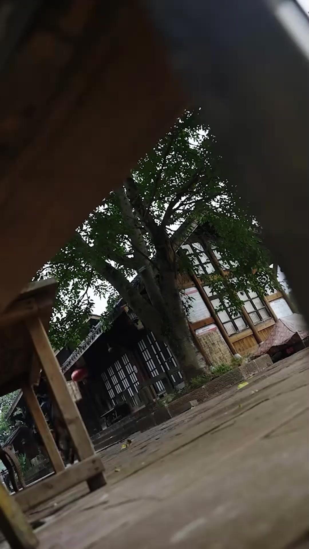 Dağları ve Nehirleri Yeniden Şekillendirmeye Cesaret Etmek