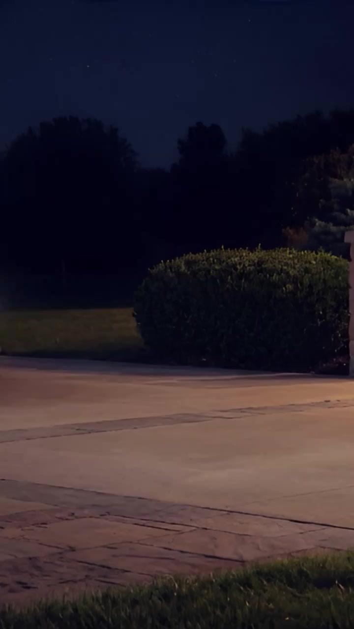 Armadilha de Amor do Diabo