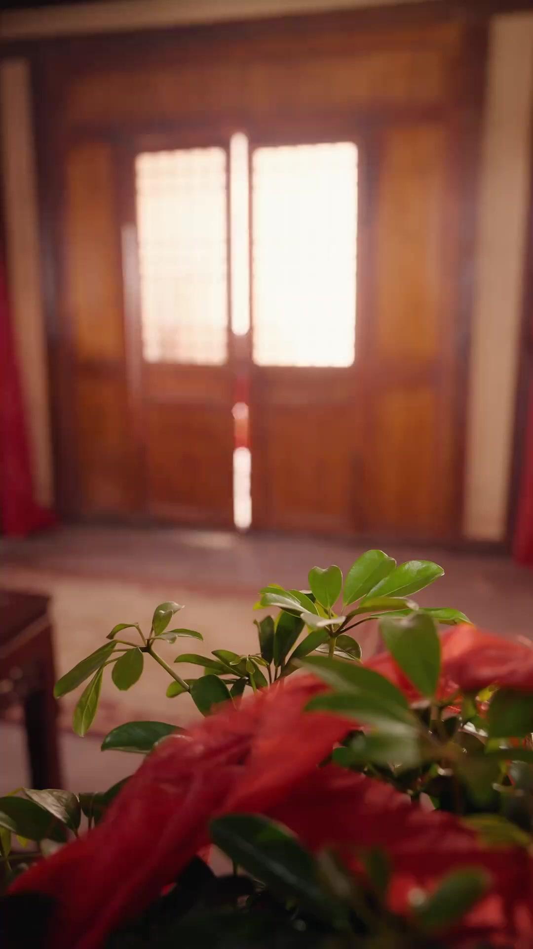 Casamento Predestinado: Juntos Para Sempre