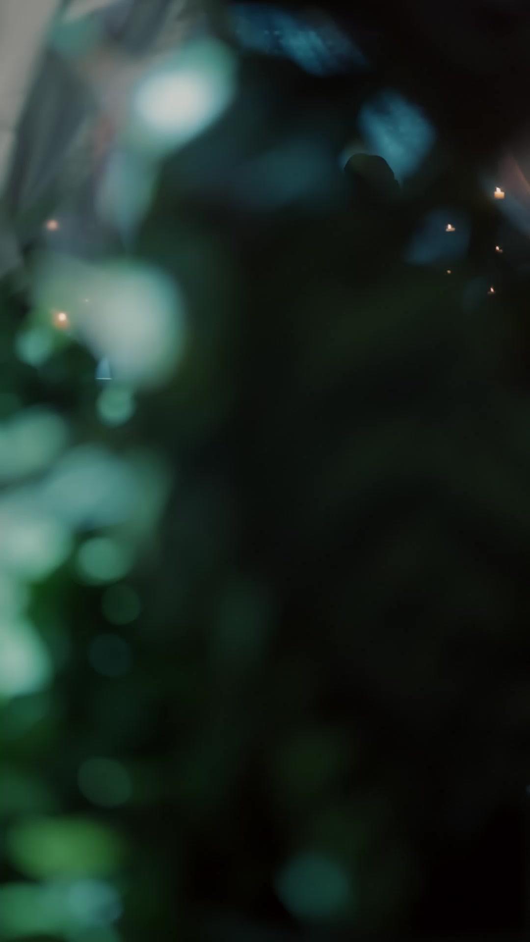 花散る前に君を愛す