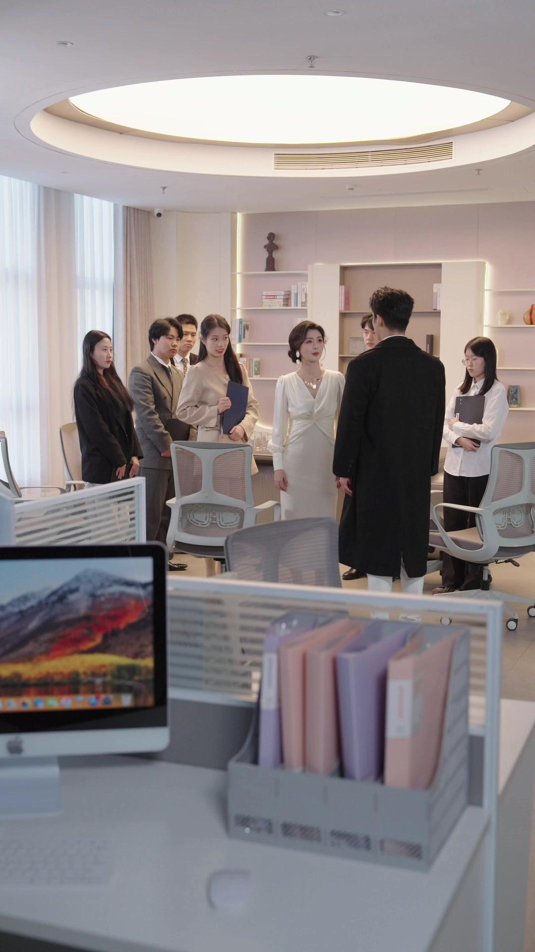 Jiwaku Jenderal, Tubuhku Istri CEO