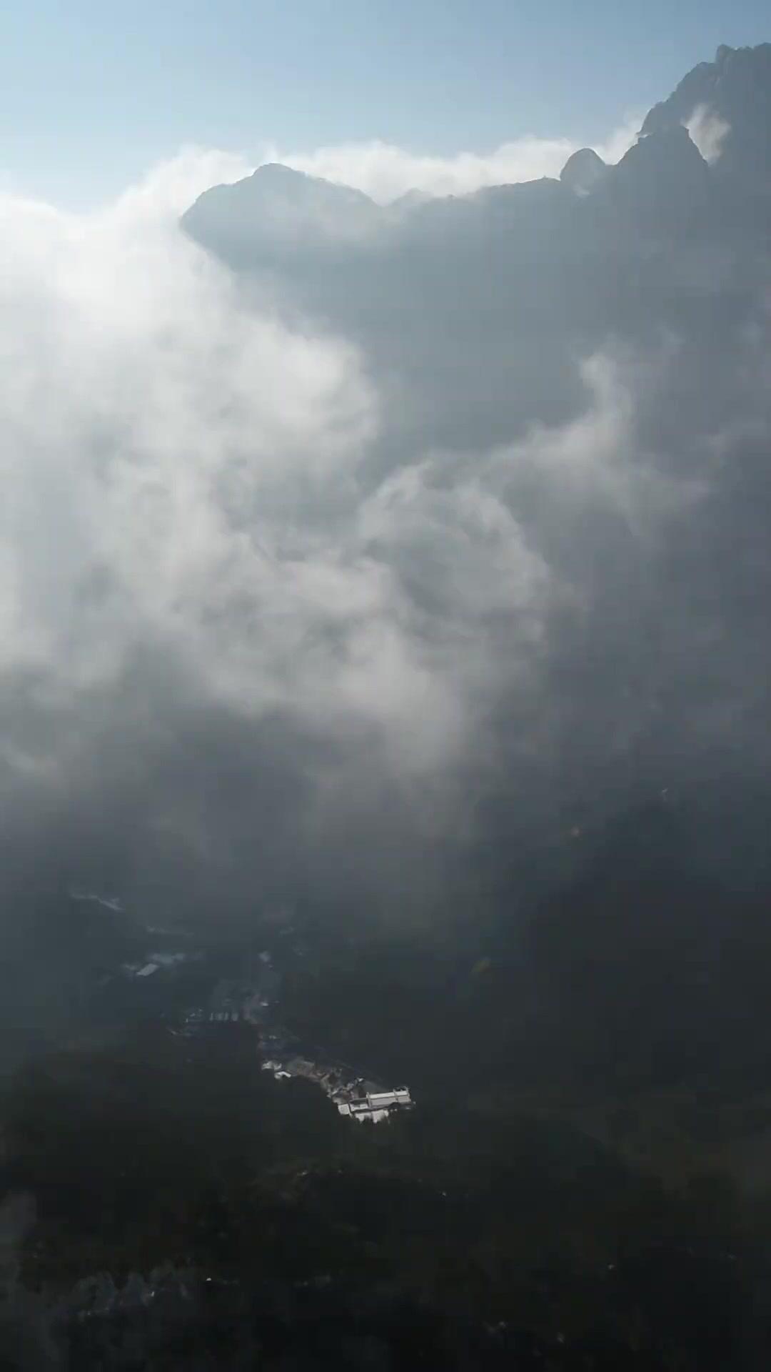 Meu Irmão, Meu Mestre