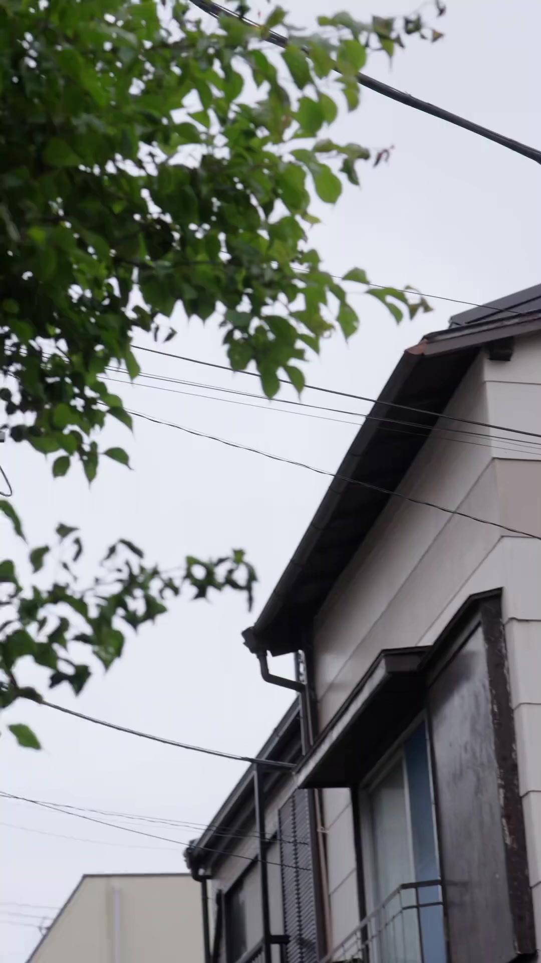 Keluargaku Ternyata Konglomerat