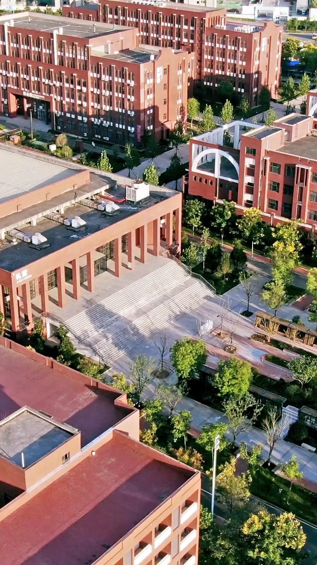 A Rainha do Gelo Sorriu