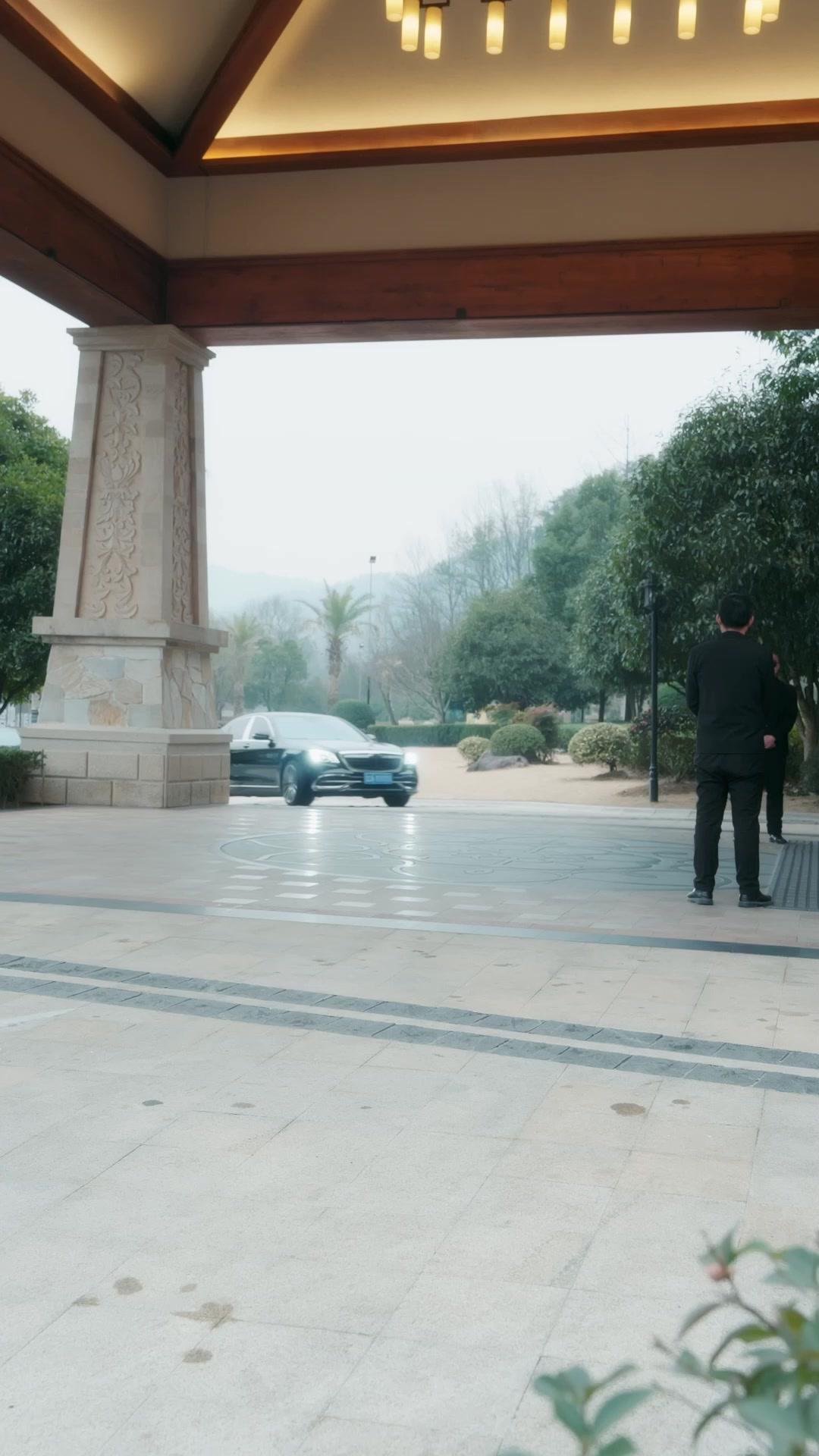 (吹き替え)30年の眠り姫