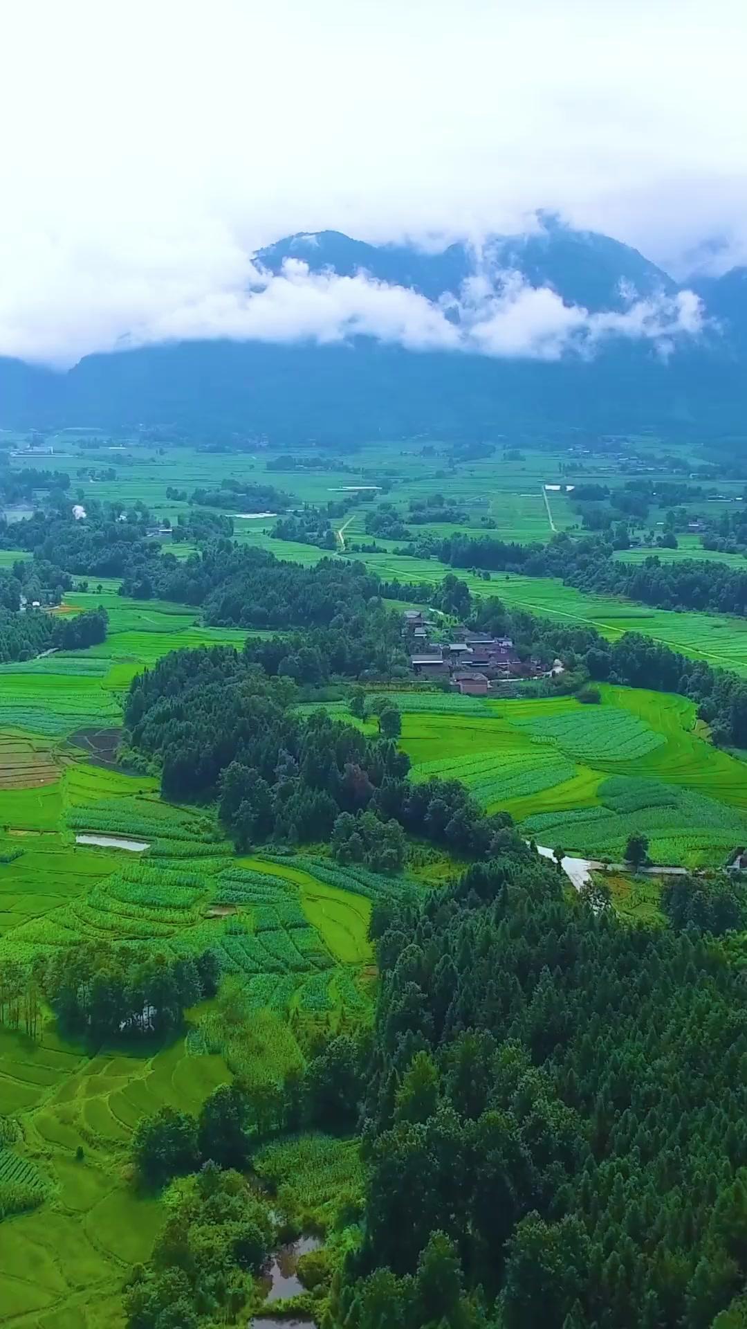 Kekuatan Sakti, Pesona Mematikan