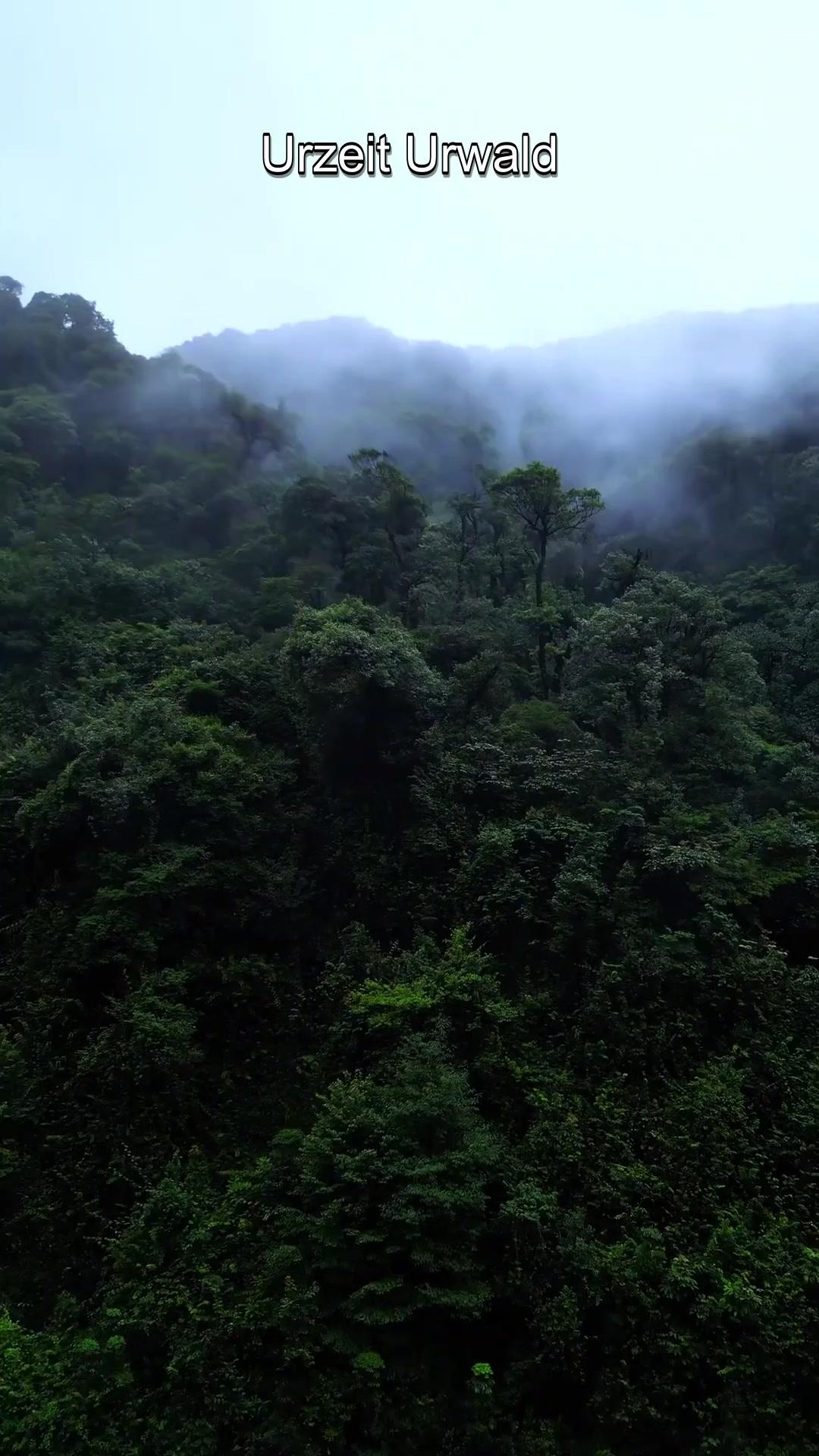Die Botanikerin in der Wildnis