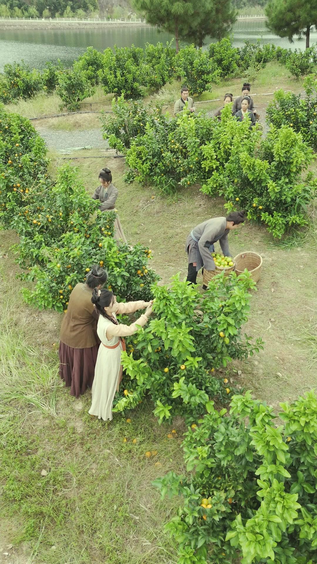 Ratu Teh Lemon di Zaman Kuno