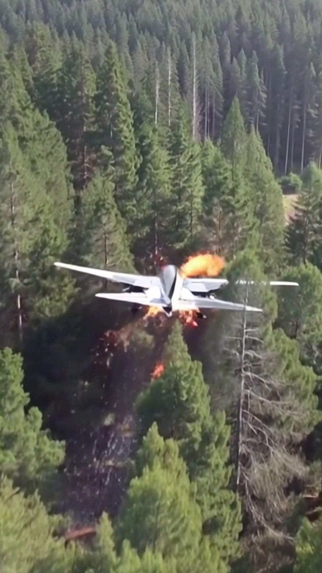 Love Landed With the Amnesiac Heir