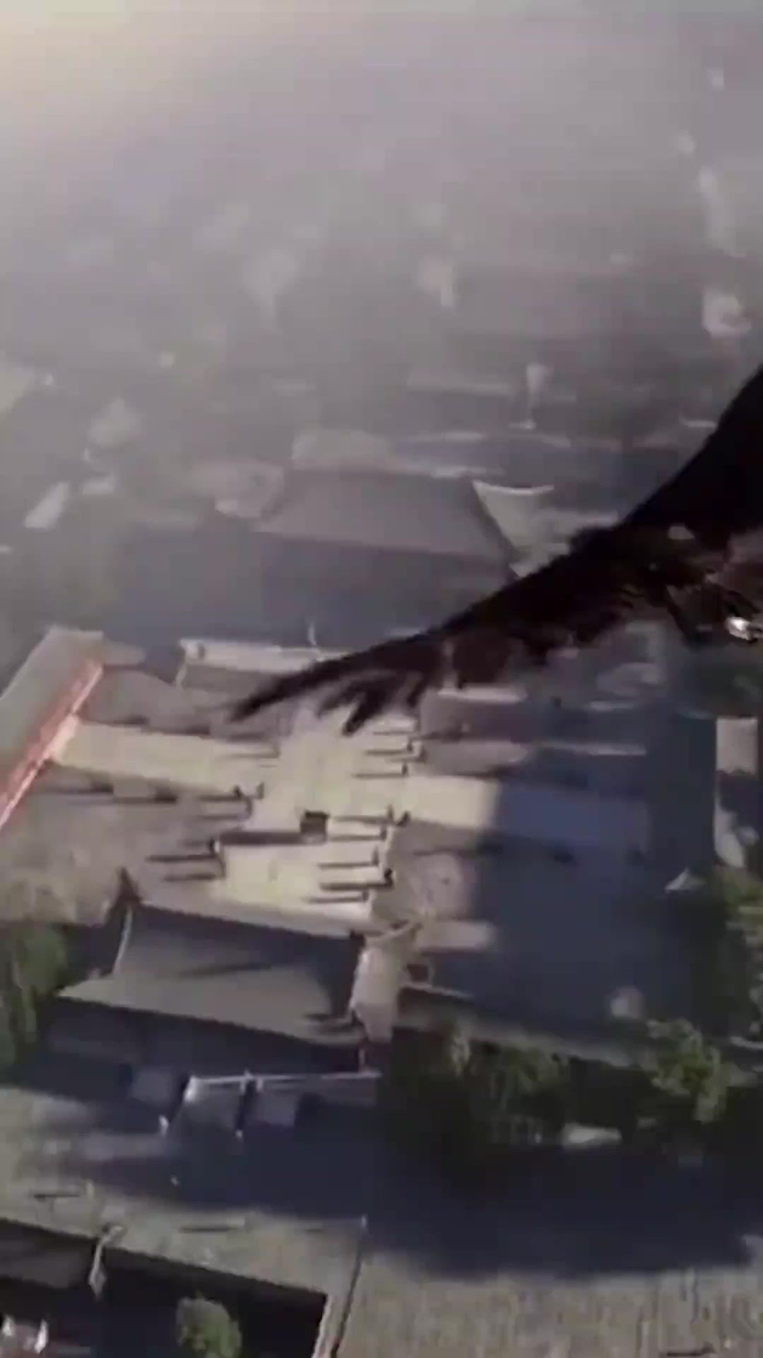 สองไทเฮาเกิดใหม่ ล้างราชบัลลังก์