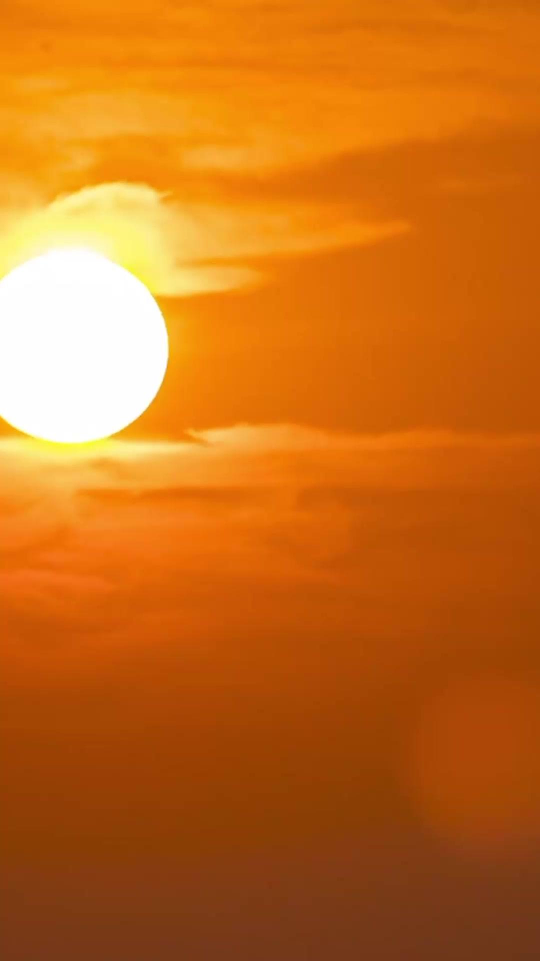 風華昭月：重生擇君錄