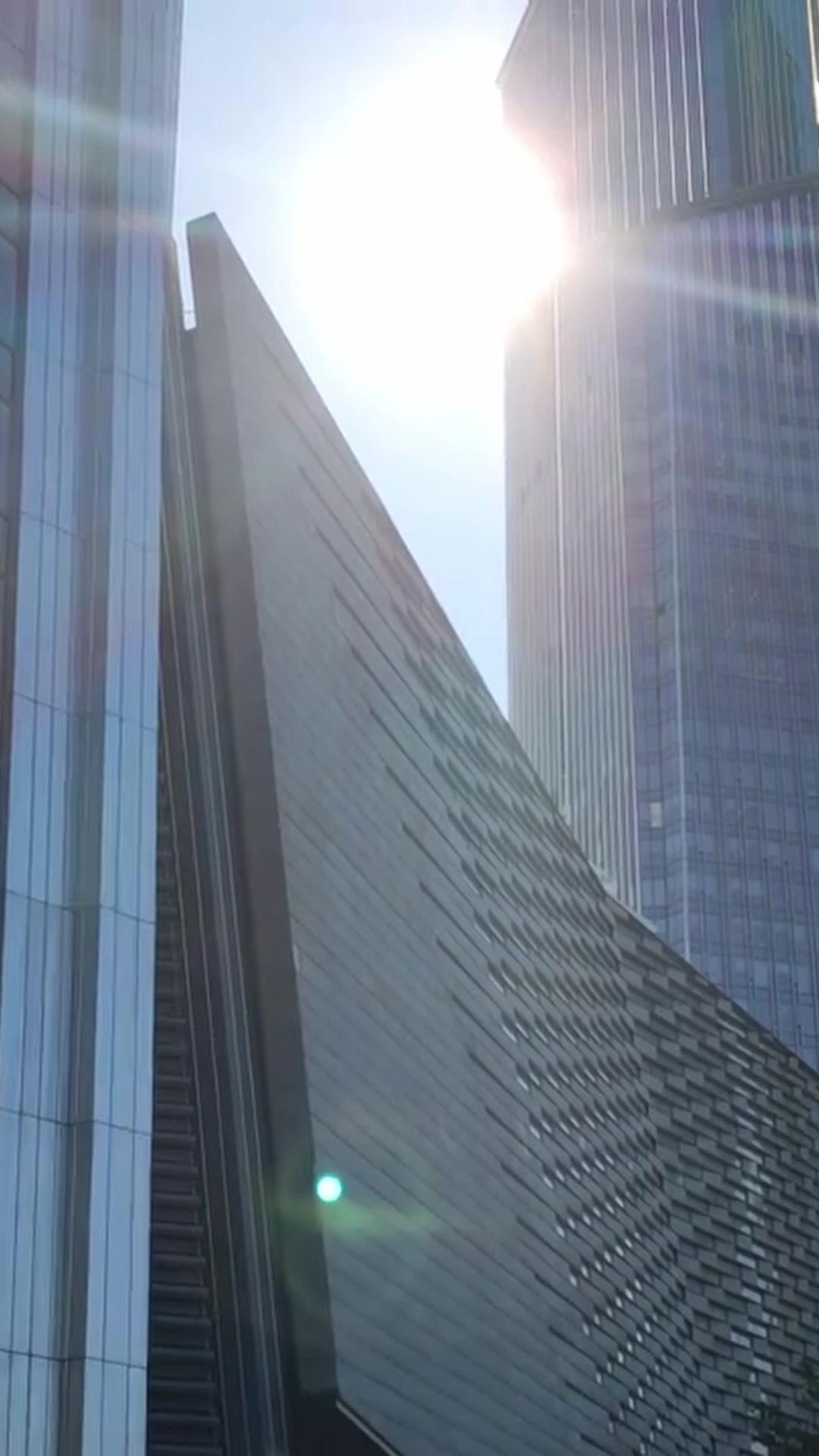 Llegó en la oscuridad