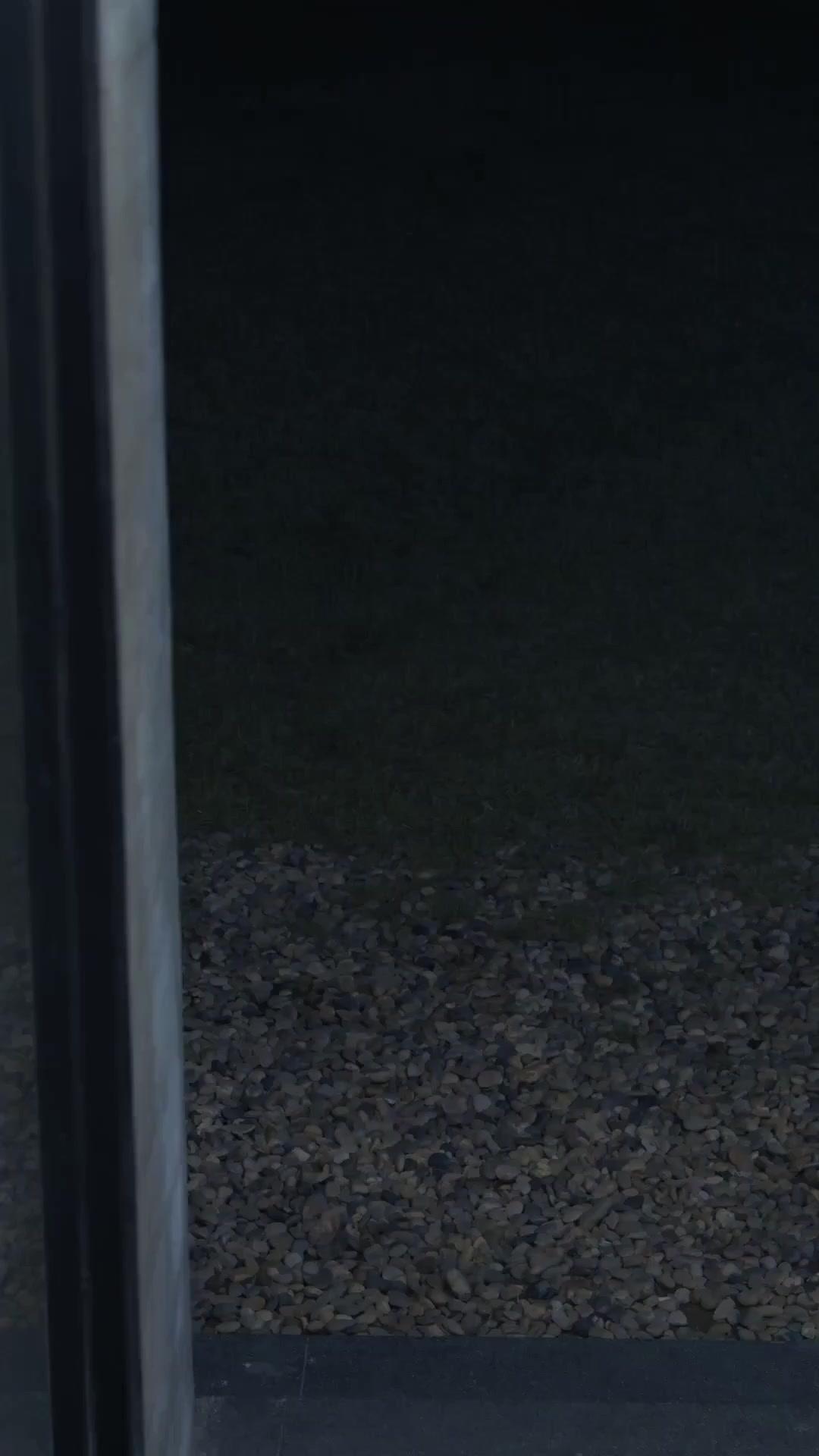 (Lồng tiếng)Lọt Vào Tầm Ngắm