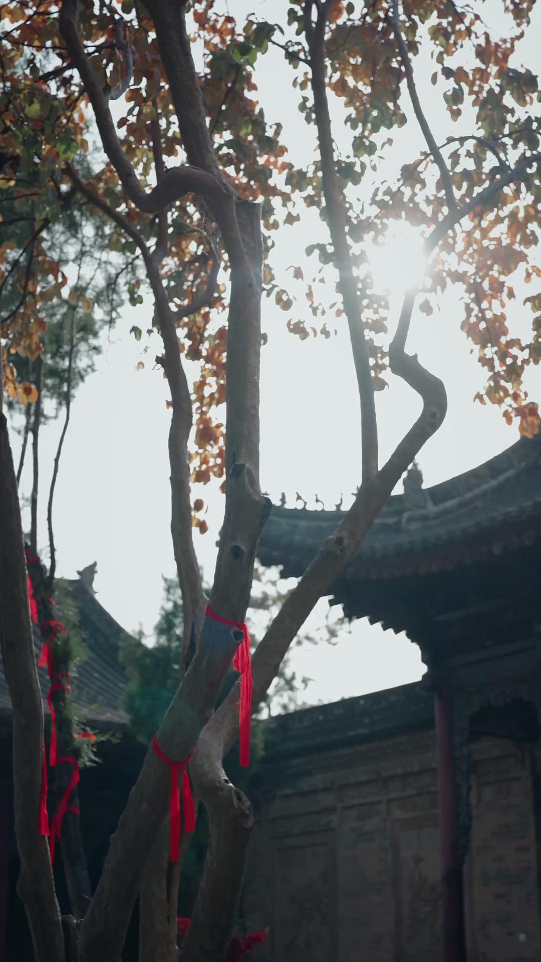 神女の決断～千年恋の輪廻～