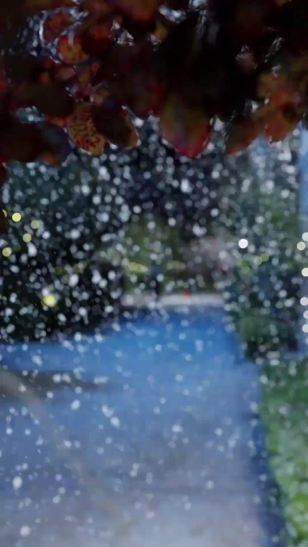 Meu Tempo com Sr. Leonardo