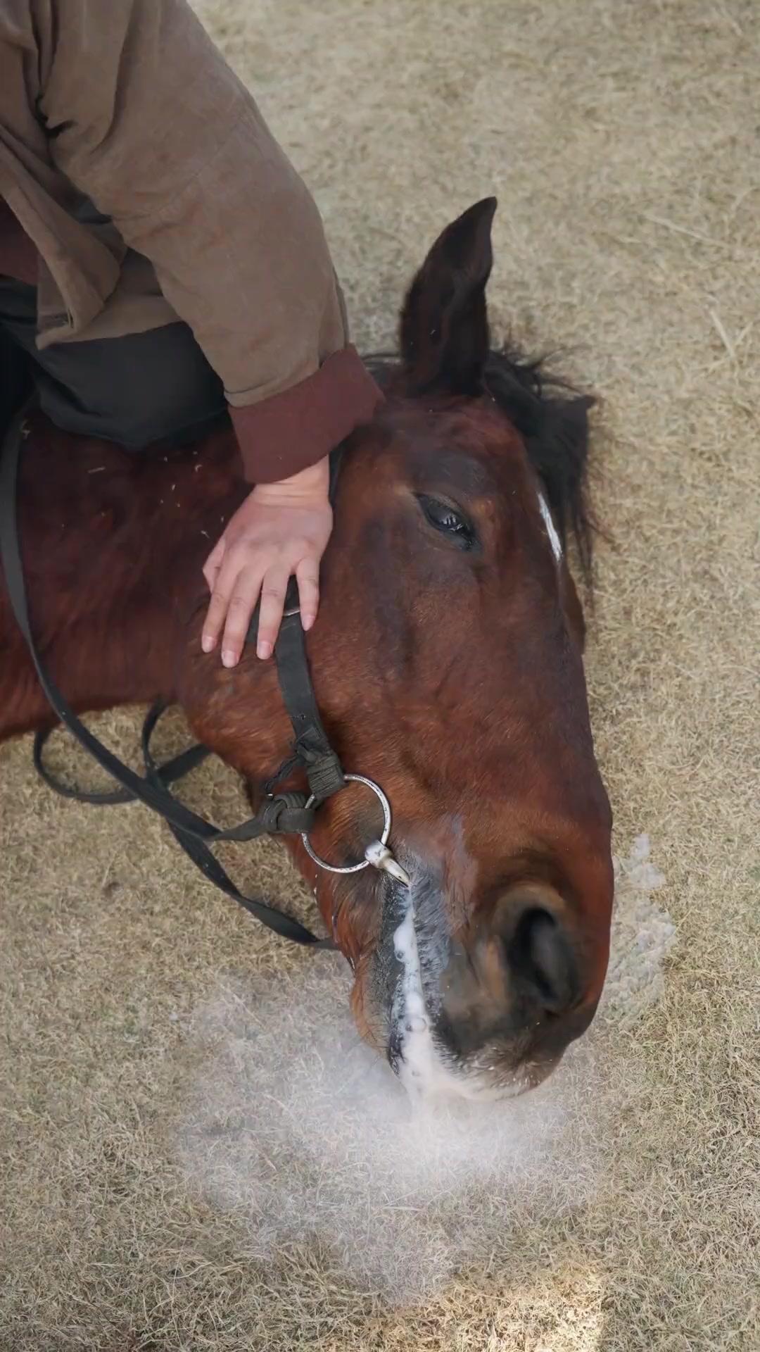 (พากย์เสียง) หย่าขาดรัก ทวงคืนอำนาจ