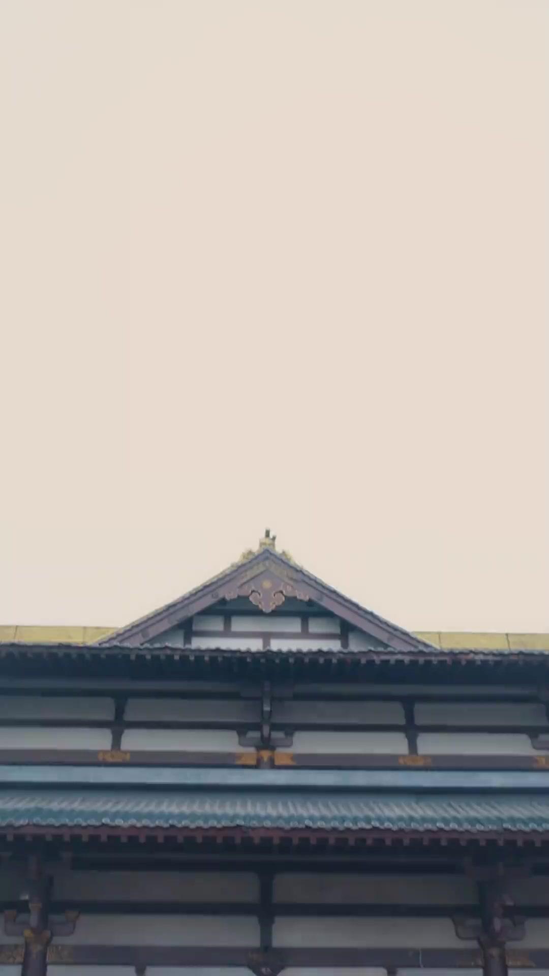 되감긴 운명: 뱃속의 예언자