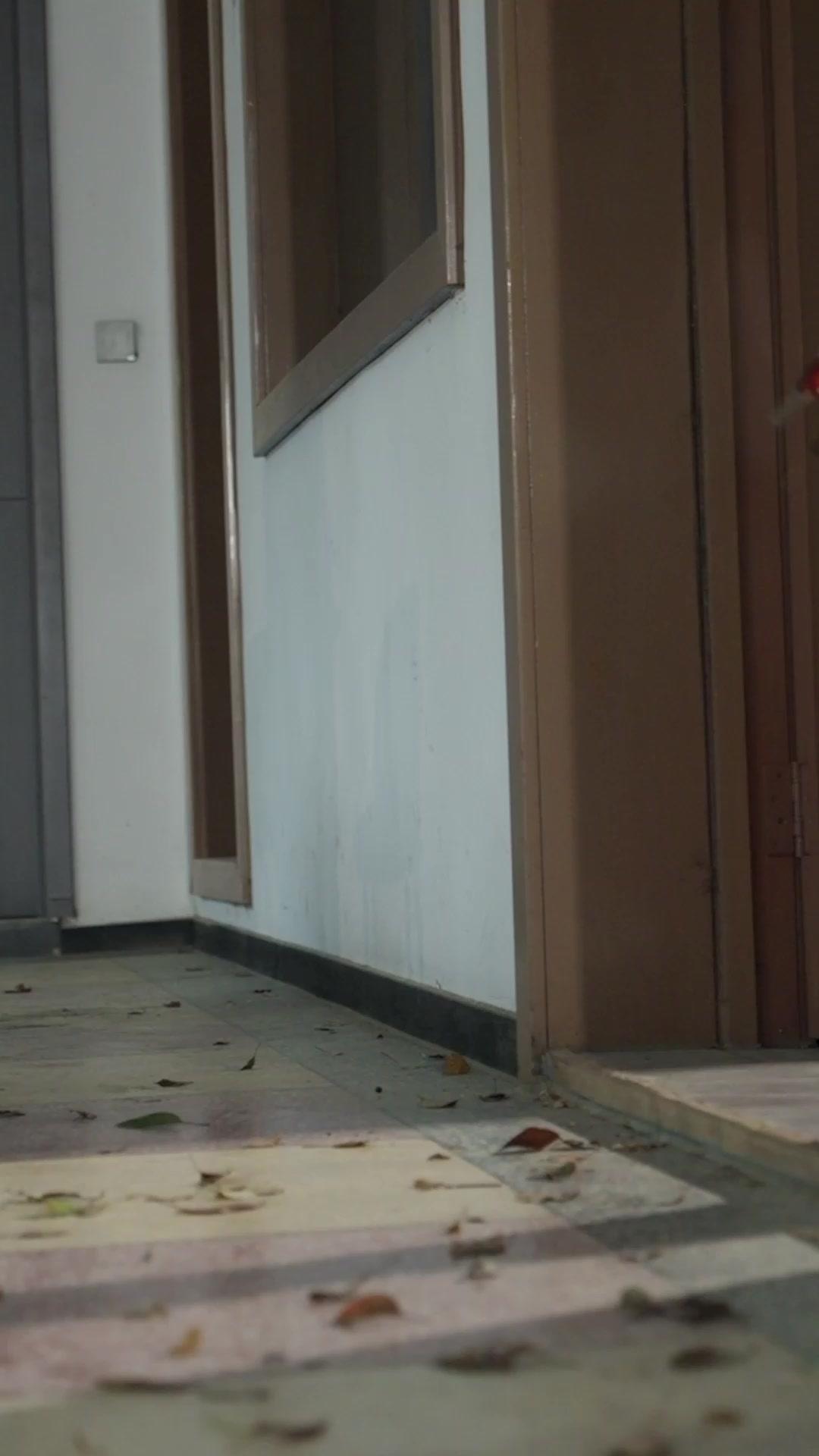 DRAGON CACHÉ DES AFFAIRES