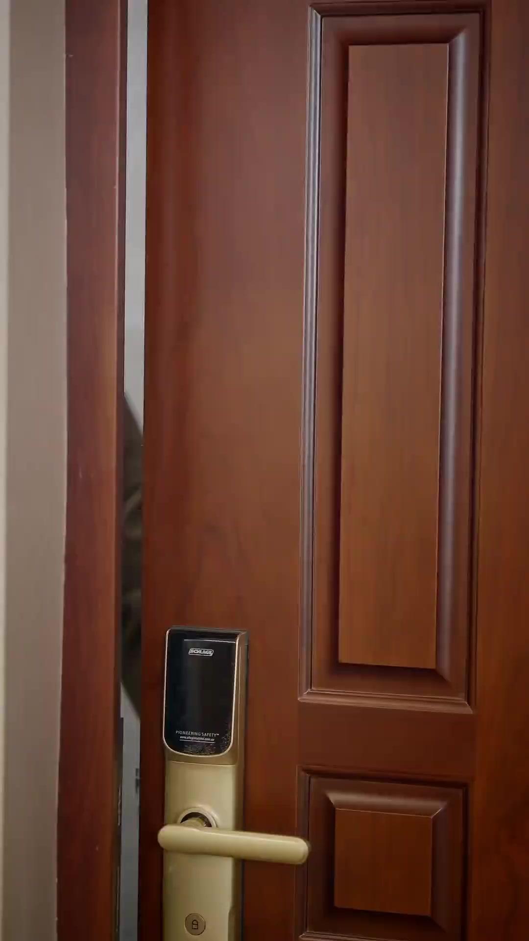 Contrato de Sete Vidas