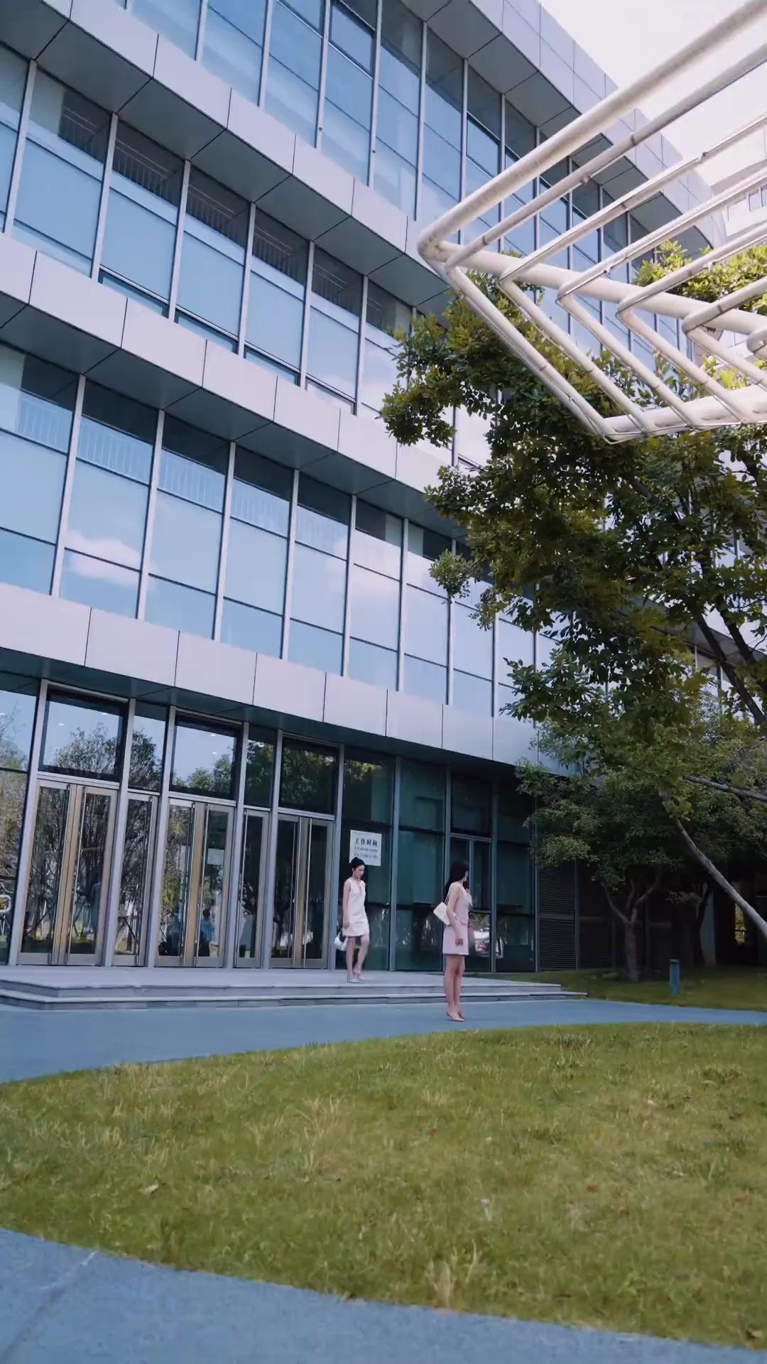 Patinho Feio Virou Cisne Branco