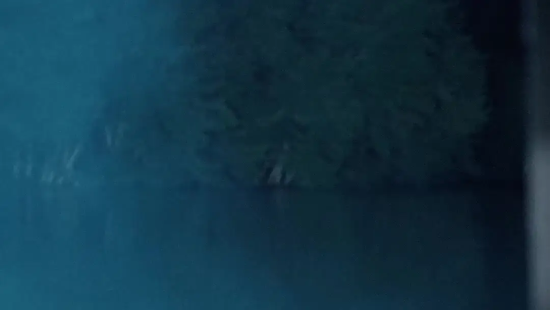 Whispers of Five Elements: When Coins Rise and Gods Look Away